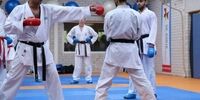  بابک گودرزی مربی تیم ملی کاراته هلند شد
