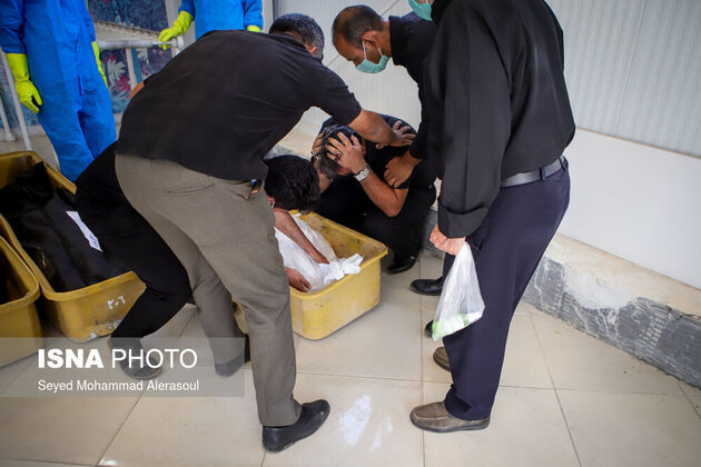 62003050_Seyed-Mohammad-Alerasoul-30-of-55-