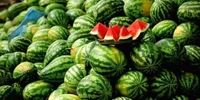 راه تشخیص هندوانه سالم از سمی 