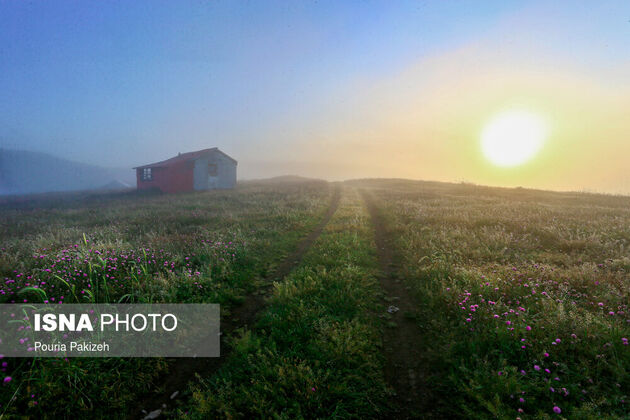 61939846_AG5J5697