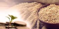 مبلغ فطریه و کفاره افطار روزه امسال چه قدر است؟