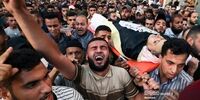 آخرین گزارش از جنگ در غزه/ آمار قربانیان به 1573 نفر رسید!
