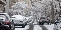 دیشب در تهران نیم متر برف بارید+ عکس