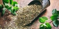 با این گیاه معطر به جنگ ۶ ویروس خطرناک بروید