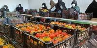 صادرات ۶٢٠ تن گوجه‌فرنگی گلخانه‌ای به خارج از کشور 