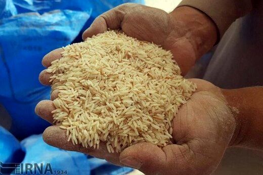 برنج کیلویی ۹۲ هزار تومان شد

