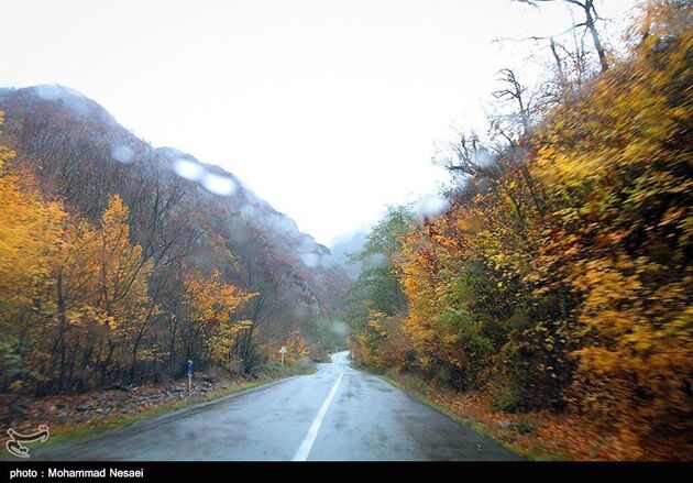 پاییز هزار رنگ در گرگان