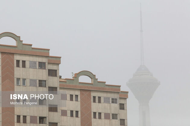 62227983_zangene-isna-14