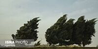 هشدار؛ وزش باد شدید در راه تهران!