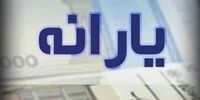اعتراض برخی خانوارها به عدم دریافت یارانه دولت/علت این تبعیض چیست؟