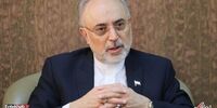 جوابیه سازمان انرژی اتمی در خصوص سخنان صالحی در مورد برجام/ این سخنان را تحریف کرده‌اند!