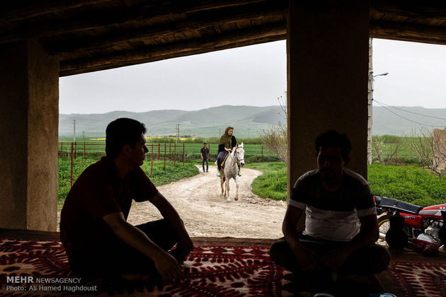 پرورش اسب روستای صوفیان