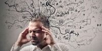 این غلات و میوه‌ها در تقویت‌ حافظه معجزه می‌کنند