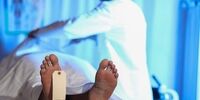 خودکشی پدرشوهری پس از قتل عروسش بر سر اختلافات خانوادگی