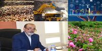 محسن جلال‌پور؛ تاجر و کارآفرینی که نویسنده شد | دفاع تمام قد از توسعه تجارت بین المللی به عنوان اکسیر نجات‌بخش ایران | گلایه از آلوده بودن فضای کسب‌وکار 