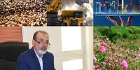 محسن جلال‌پور؛ تاجر و کارآفرینی که نویسنده شد | دفاع تمام قد از توسعه تجارت بین المللی به عنوان اکسیر نجات‌بخش ایران | گلایه از آلوده بودن فضای کسب‌وکار 