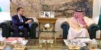 جزییات رایزنی فرستاده اتحادیه اروپا با معاون وزیر خارجه عربستان