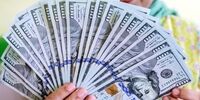 شناسایی پارامتر مهم نوسان‌ساز در بازار ارز
