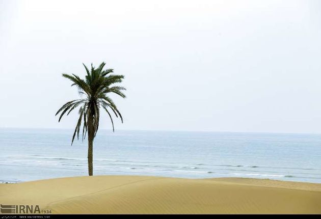 ساحل و روستای شگفت انگیز « دَرَک » زرآباد