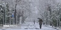 هشدار؛ به این دو استان سفر نکنید+ فیلم