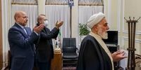 پیام سیاسی جلسه اخیر قالیباف با لاریجانی و ناطق از دیدگاه مهاجری/  جبهه پایداری با ژست دفاع از رئیسی به میدان خواهند آمد