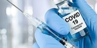 بلاتکلیفی 3 محموله واکسن کرونا در گمرک/ ماجرا چیست؟