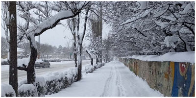 تداوم بارش برف در این نقاط کشور/ سردترین شهر مشخص شد