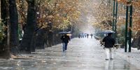 کدام استانها در سال جاری حتی یک قطره باران ندیدهاند؟