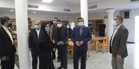 وزیر ارشاد از موزه سینما بازدید کرد+ عکس