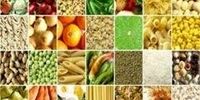 اعلام فهرست قیمت رسمی ۲۵ قلم کالای خوراکی توسط دولت! + جدول