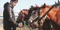 تصاویری از اسب سواری لاکچری سردار آزمون