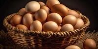 معجزه جالب تخم مرغ که نمی دانستید