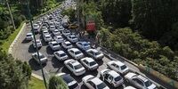آخرین وضعیت ترافیکی در جاده چالوس