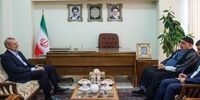 دیدار و گفتگوی عادل عبدالمهدی با علی لاریجانی