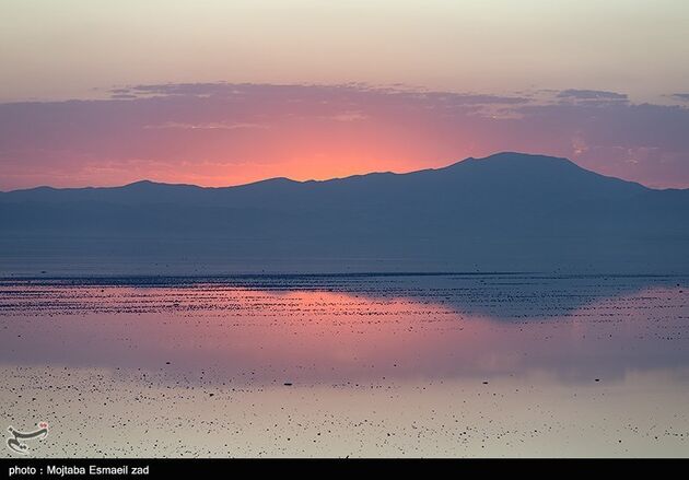 image10