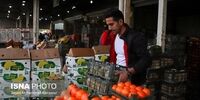 رسیدگی به نحوه توزیع میوه شب عید