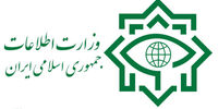 هشدار وزارت اطلاعات درباره ارائه اطلاعات شخصی به درگاه‌های مجازی