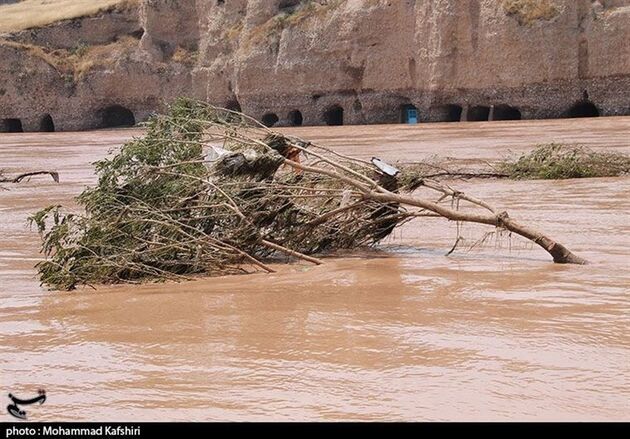 سیل دزفول