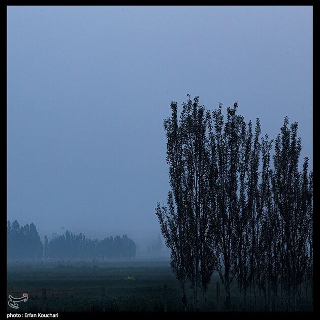 image11