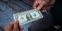 هشدار قوه‌قضاییه؛ کارت ملی خود را به دلالان ارزی اجاره ندهید