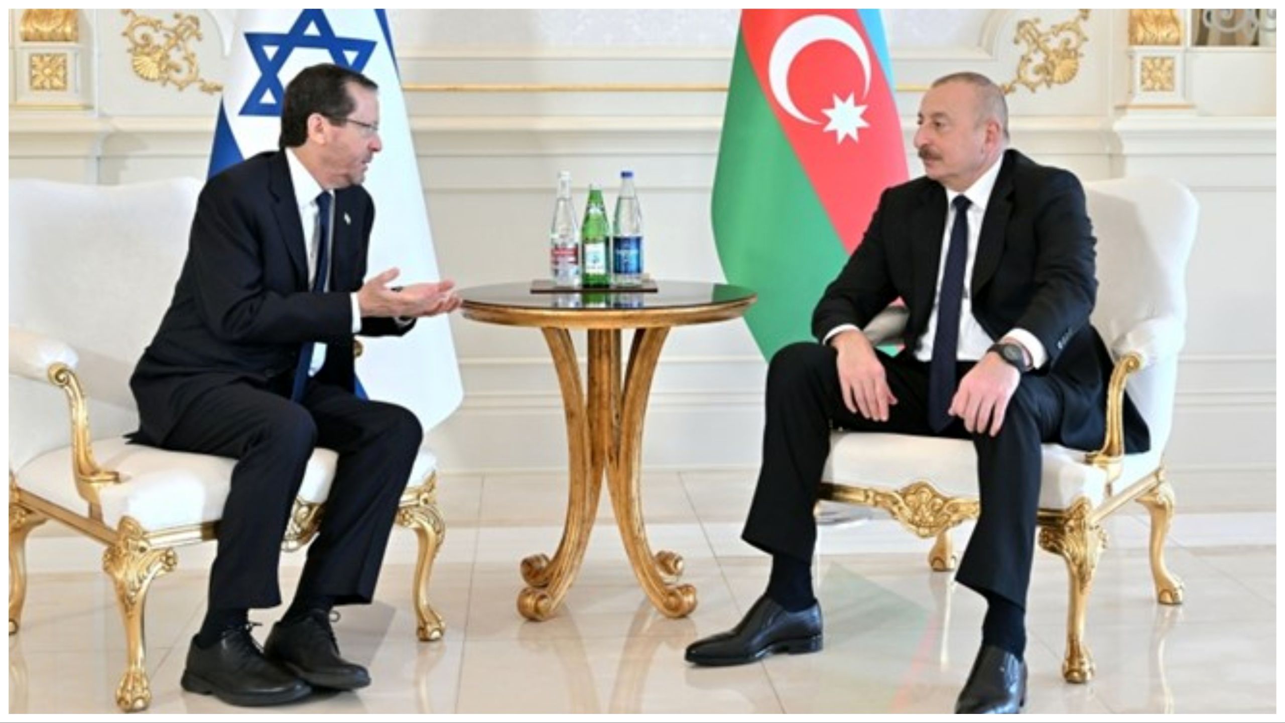 دیدار و گفتگوی  رئیس جمهور آذربایجان و هرتزوگ در باکو 