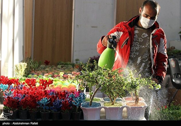 نمایشگاه گل همدان
