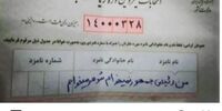 واکنش عجیب ده نمکی به نوشته ای عجیب روی برگه رای