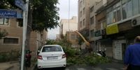 آخرین آمار طوفان امروز تهران: 76 مصدوم، یک کشته