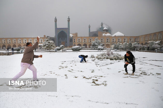 61540546_morteza-zanganeh-1616