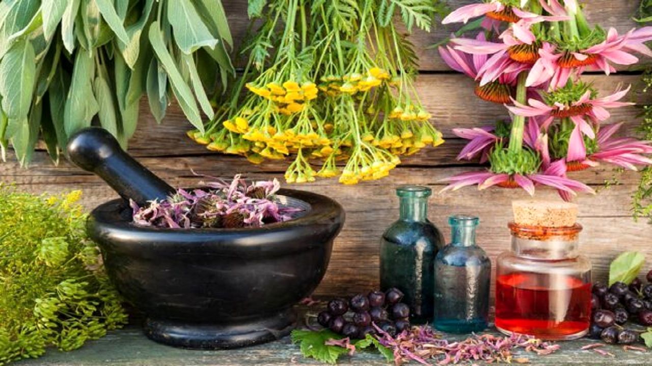 این ترکیبات جادویی گیاهان برای بدن معجزه می کند!