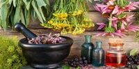 این ترکیبات جادویی گیاهان برای بدن معجزه می کند!