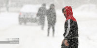 ارتقاع برف در این استان به نیم متر رسید+ عکس

