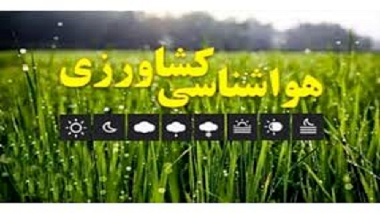 هشدارهای مهم هواشناسی به کشاورزان و دامداران/ بارش باران در این 14 استان