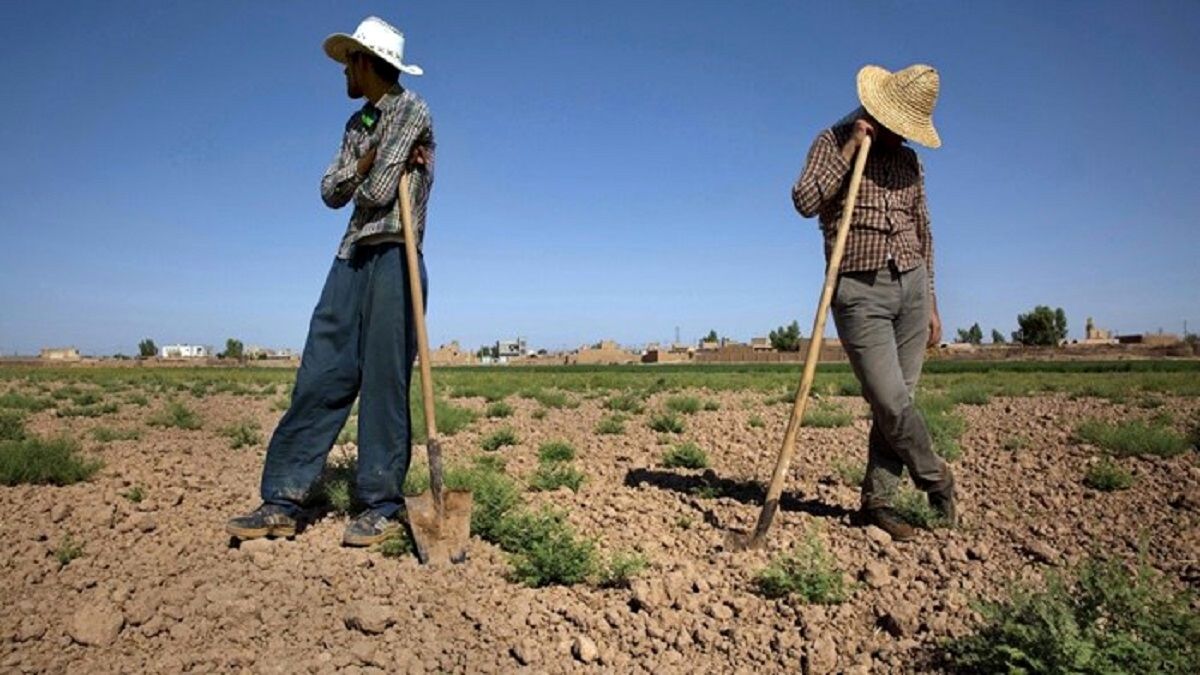 پتک کم‌آبی بر سر کشاورزی کرمان/ راه نجات چیست؟+ فیلم